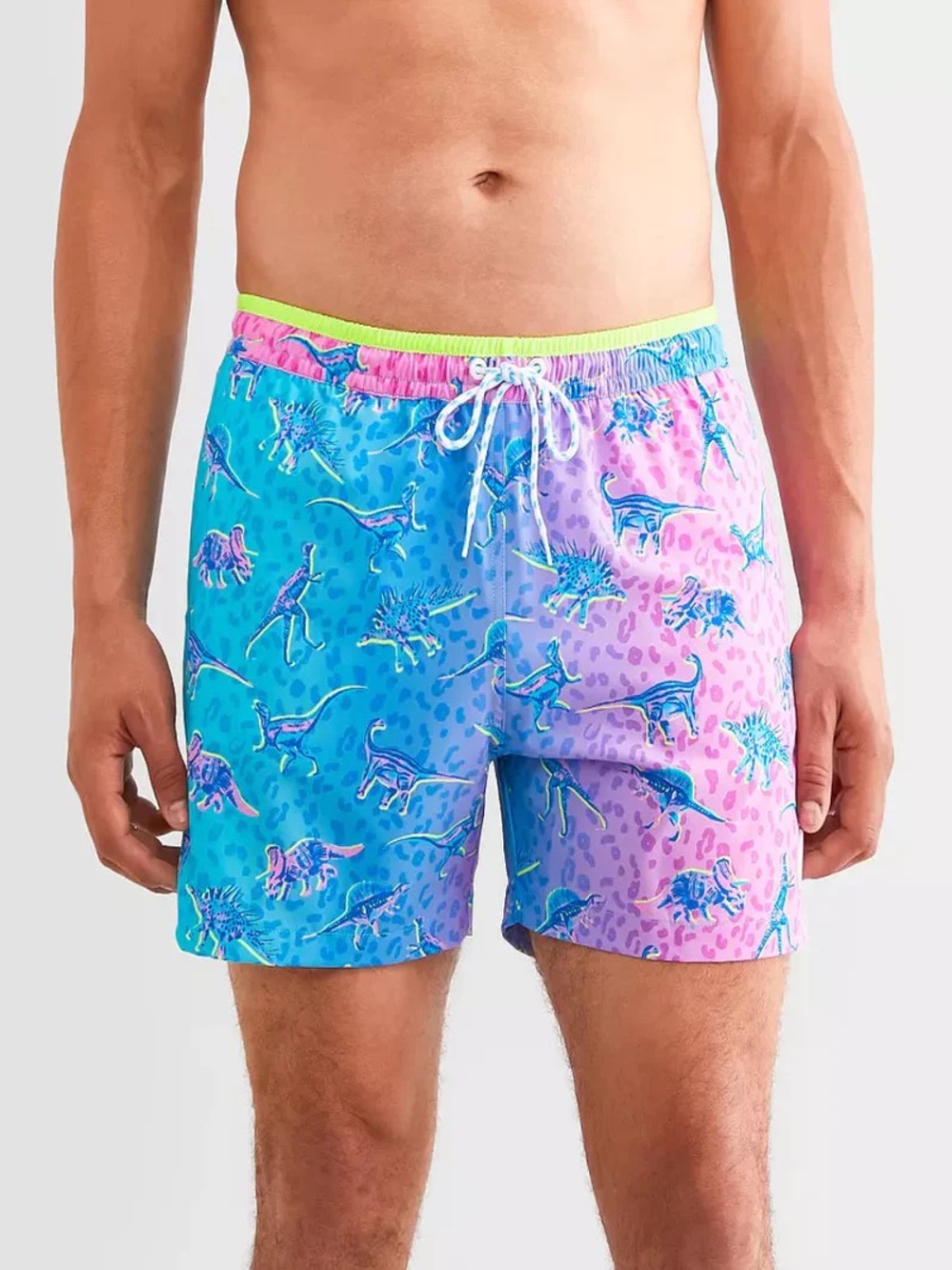 Chubbies Dino Delights Swim Trunks